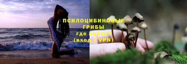 ПСИЛОЦИБИНОВЫЕ ГРИБЫ Остров