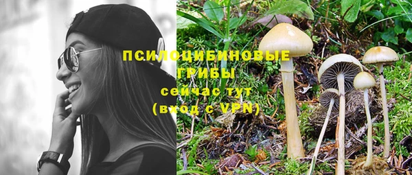первитин Белая Холуница