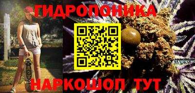 стаф Обнинск