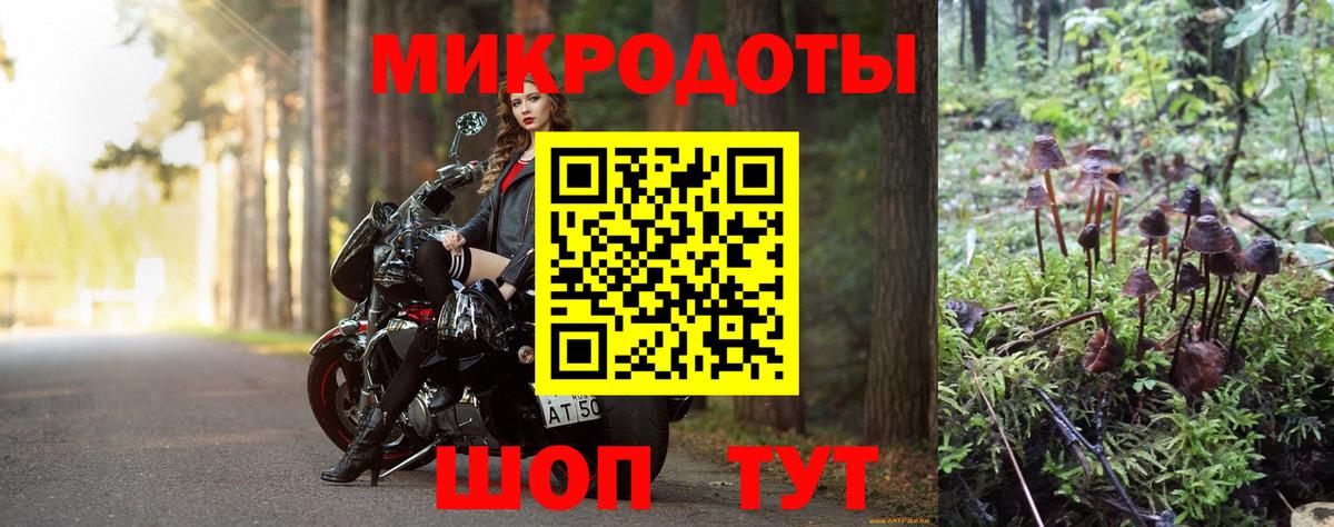 Псилоцибиновые грибы Psilocybe Протвино