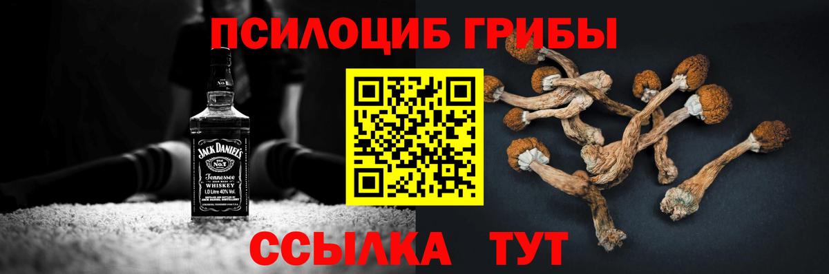 Галлюциногенные грибы мицелий Протвино